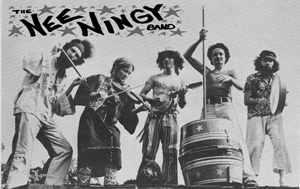 Nee Ningy Band